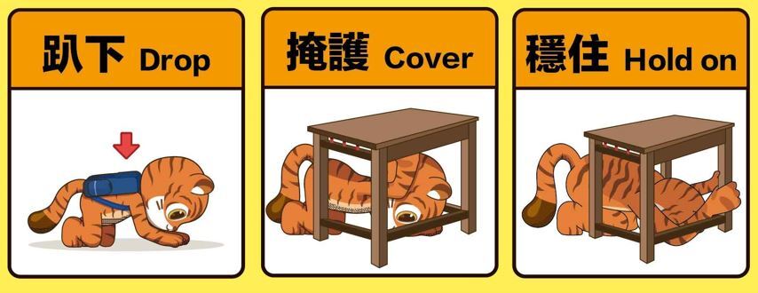 趴下、掩護、穩住